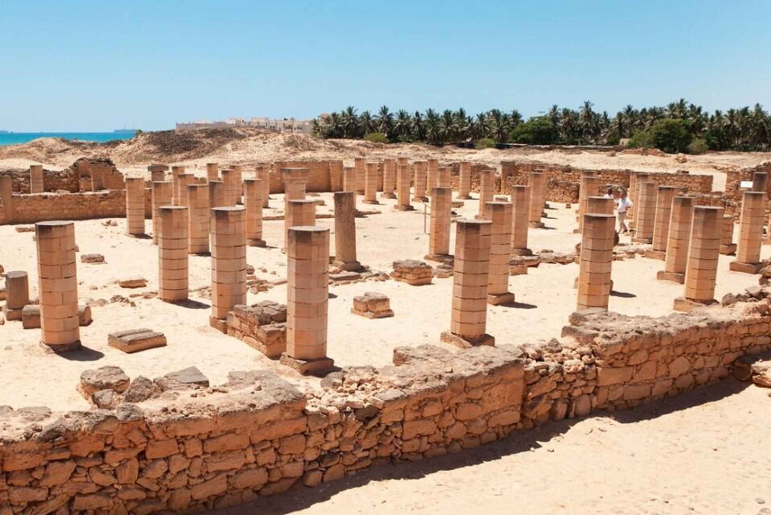 Tour della città tra patrimonio e cultura con una guida locale