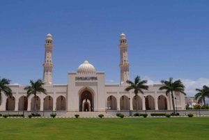 Tour della città tra patrimonio e cultura con una guida locale