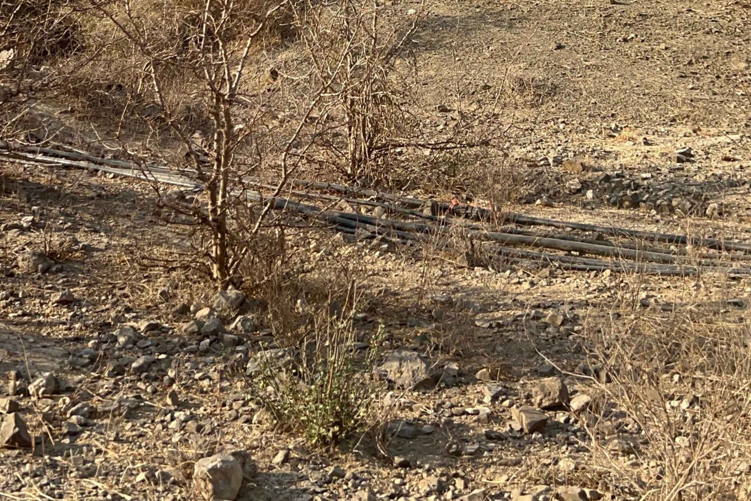 Hike to Hidden Waterfalls – Ayn Ghedh Adventure