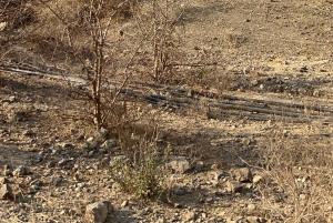 Hike to Hidden Waterfalls – Ayn Ghedh Adventure