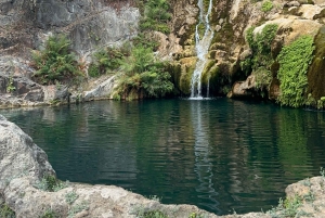 Hike to Hidden Waterfalls – Ayn Ghedh Adventure