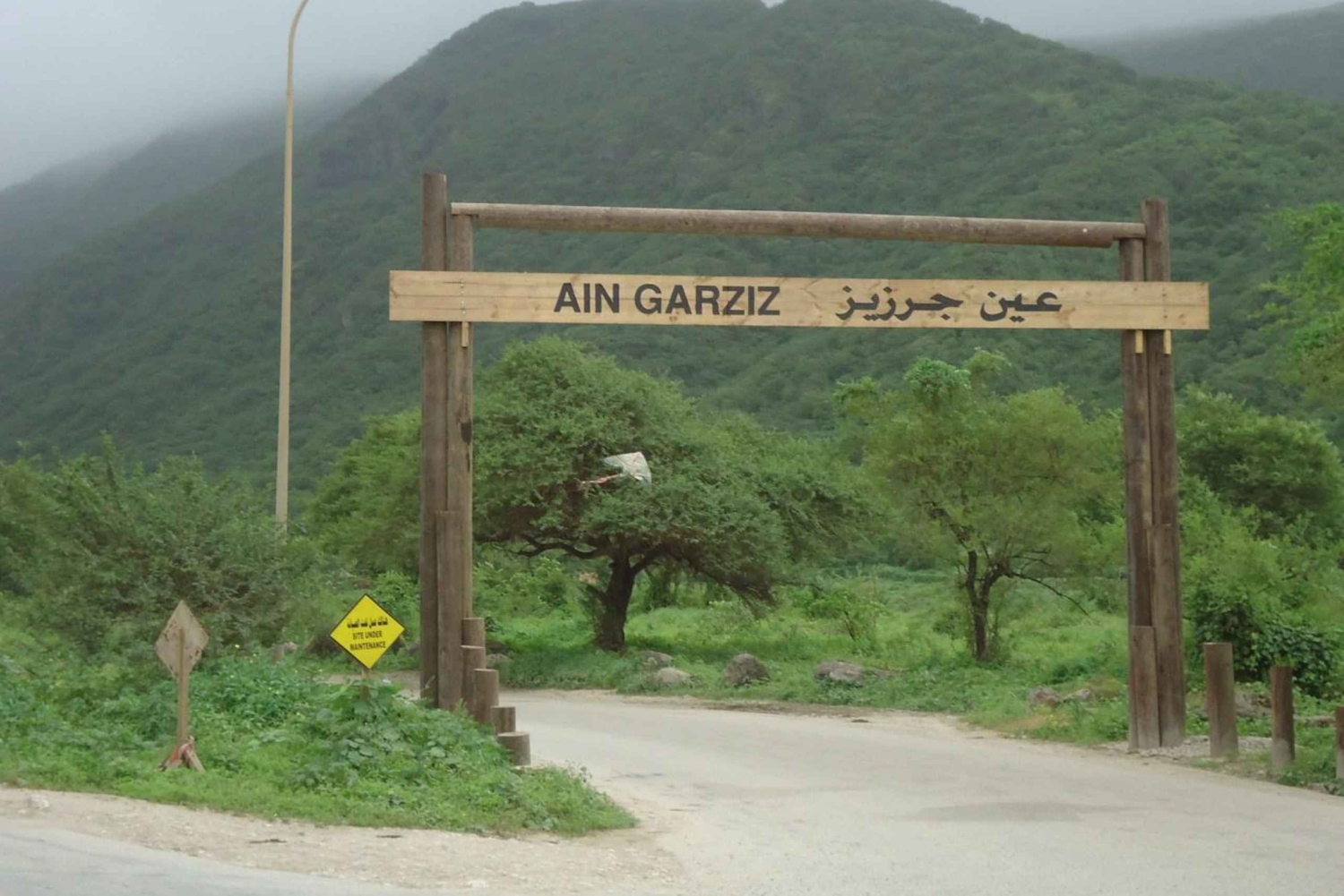 Visite historique de la ville de Salalah avec culture, gastronomie et shopping