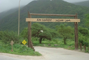 Visite historique de la ville de Salalah avec culture, gastronomie et shopping