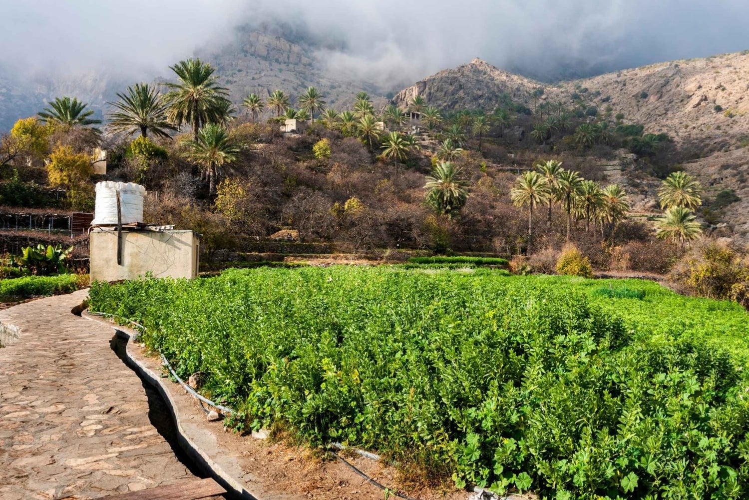 مسار التاريخ والطبيعة - قرية نخل وكن