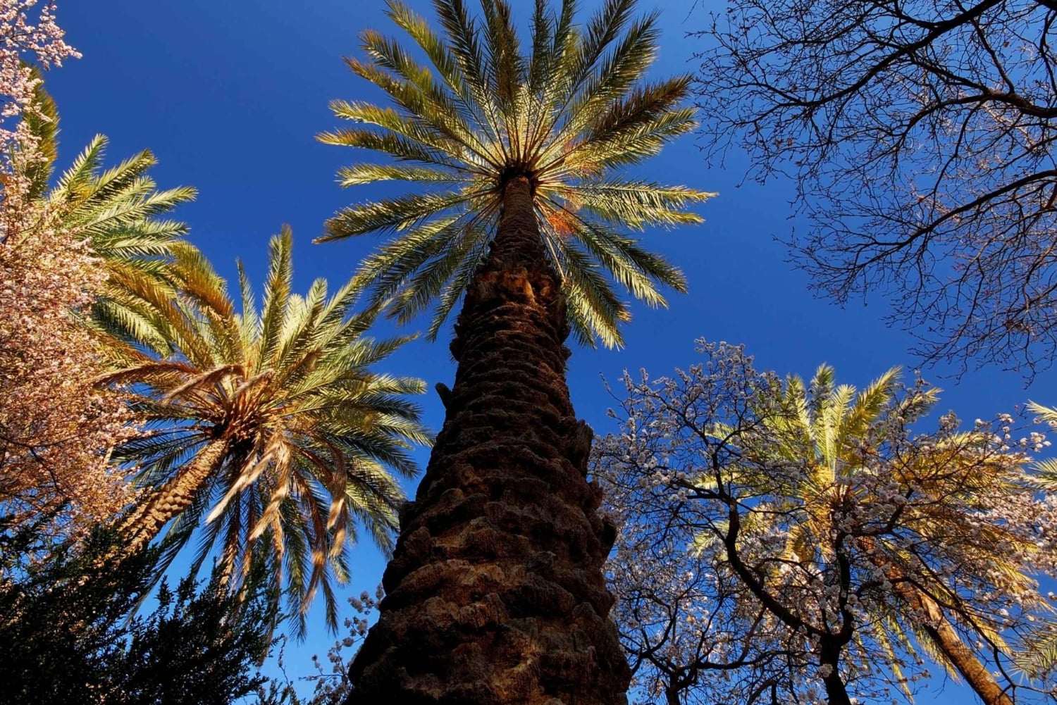 مسار التاريخ والطبيعة - قرية نخل وكن