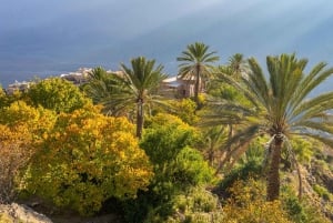 مسار التاريخ والطبيعة - قرية نخل وكن