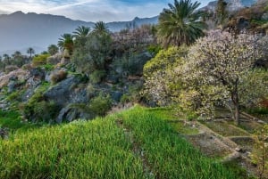 مسار التاريخ والطبيعة - قرية نخل وكن