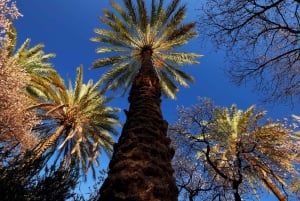 مسار التاريخ والطبيعة - قرية نخل وكن