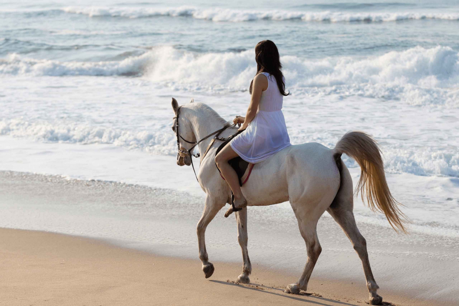 Salalah: Paardrijden aan het strand