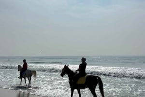 Salalah: Ridning ved stranden