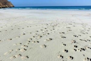 Salalah: Ridning ved stranden
