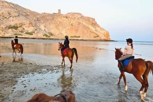 Ridning Muscat | Ridning på stranden