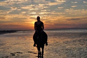 Passeios a cavalo em Mascate | Passeios a cavalo na praia