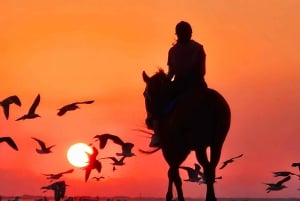 Randonnée à cheval à Muscat | Randonnée à cheval sur la plage