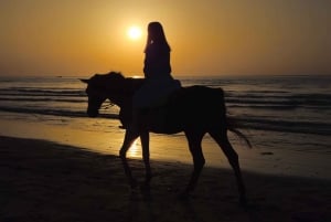 Horse Riding Muscat | Beach Horse Riding