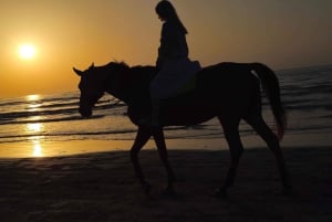 Horse Riding Muscat | Beach Horse Riding