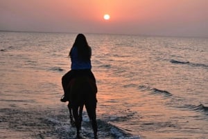 Horse Riding Oman