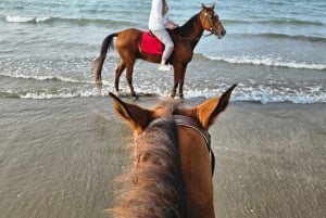 Horse Riding Oman