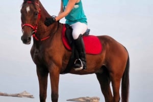 Horse Riding Oman