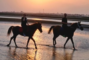 Horse Riding Oman