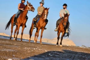 Horse Riding Oman