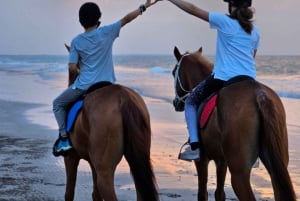 Horse Riding Oman