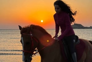 Horse Riding Oman