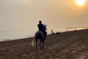 Horse riding on muscat beach