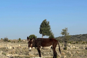 Passeio de acampamento em Jabal Akhdar