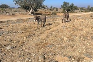 Campingtur i Jabal Akhdar