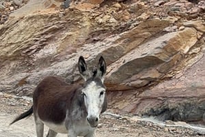 الجبل الأخضر ونزوى