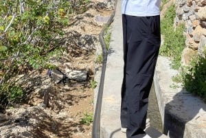 الجبل الأخضر ونزوى