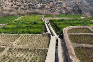 الجبل الأخضر ونزوى