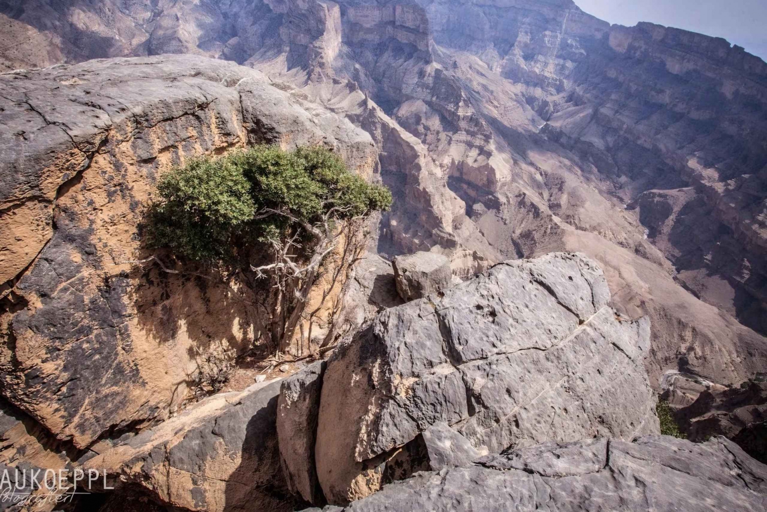 Jebel Shams ( Day Trip ) 'The Grand Canyon Of Oman'- 8 Hours