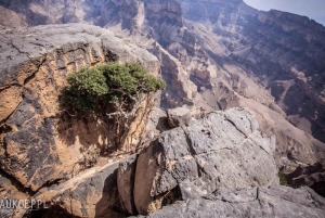 Jebel Shams ( Tagestour ) 'Der Grand Canyon des Oman'- 8 Stunden