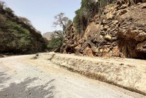 Udforsk Khareef Salalah: Ain Athum og Wadi Darbat – halvdagstur