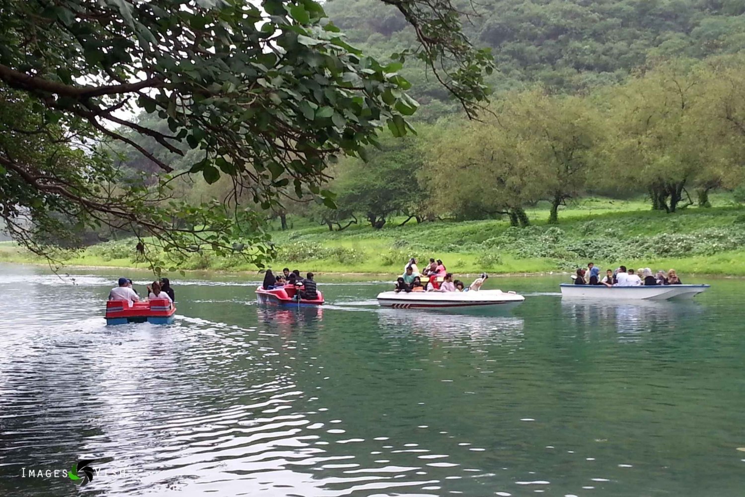 Een hele dag Khareef-ervaring: Wadi Darbat en het Salalah-gebergte