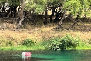 Een hele dag Khareef-ervaring: Wadi Darbat en het Salalah-gebergte