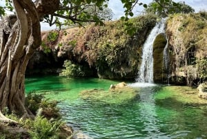 Een hele dag Khareef-ervaring: Wadi Darbat en het Salalah-gebergte