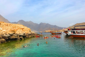 Khasab: Dolphin Watching Day Tour with Snorkeling & Lunch