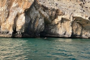 Jasab: Avistamiento de delfines, snorkel con equipo y almuerzo