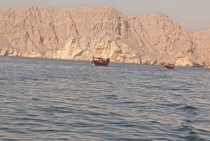 Khasab: Ganztägige Dhow-Kreuzfahrt zur Delfinbeobachtung mit Mittagessen