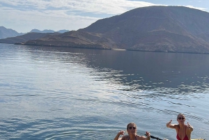 Khasab Musandam |Isola del Telegrafo |Crociera in Dhow |Delfini