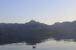 خصب مسندم | جزيرة التلغراف | رحلة بحرية | الدلافين