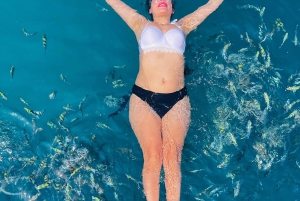 خصب مسندم | جزيرة التلغراف | رحلة بحرية | الدلافين