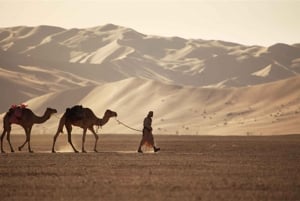 From Salalah: Lost City (Full Day Excursion to Rub Al Khali)