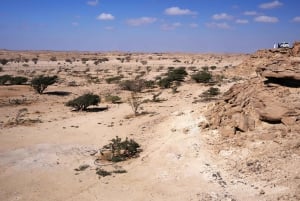 From Salalah: Lost City (Full Day Excursion to Rub Al Khali)