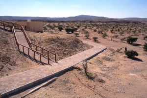 From Salalah: Lost City (Full Day Excursion to Rub Al Khali)