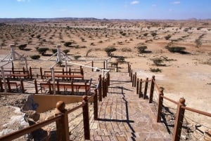 From Salalah: Lost City (Full Day Excursion to Rub Al Khali)