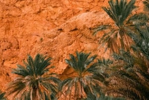 Luxe ophaal- en terugbrengservice van de luchthaven van Muscat